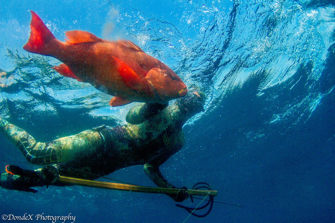 spearfishing popoyo nicaragua